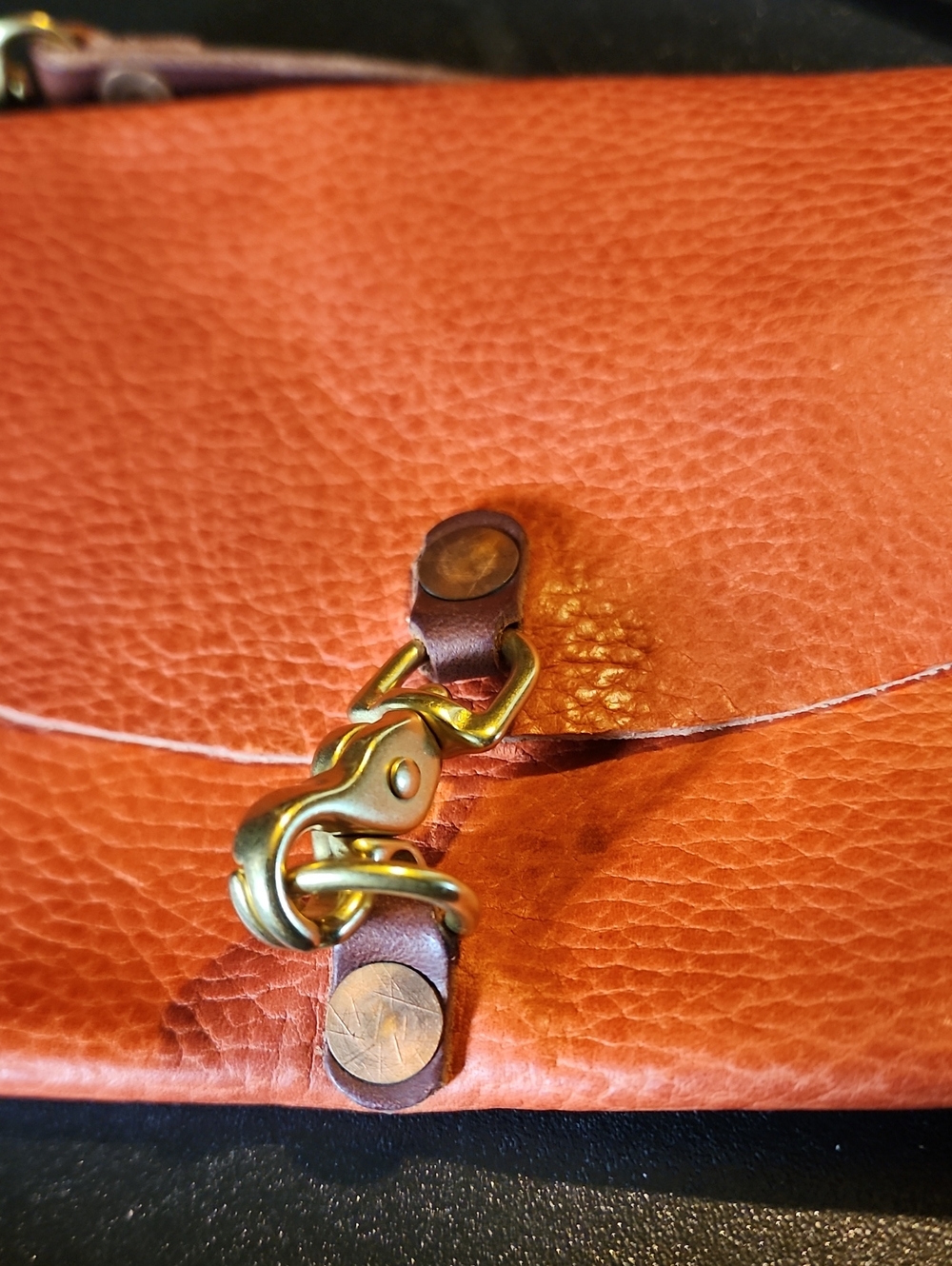 MEANWHILE BACK ON THE FARM crossbody - Picture 6 of 6